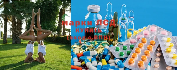 a pvp Аркадак
