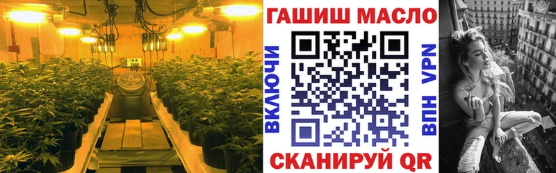 мега онион  Козловка  Дистиллят ТГК гашишное масло  сколько стоит 