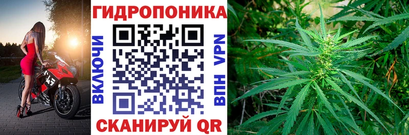 мориарти наркотические препараты  как найти наркотики  Козловка  Каннабис White Widow 